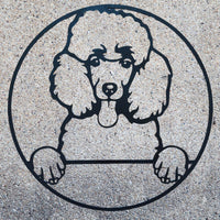 Décoration murale d'un chien de race caniche