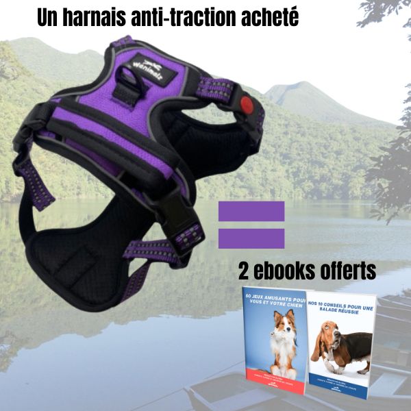 Harnais anti traction pour chien tire, de couleur violette, plus deux ebooks offerts