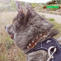 Harnais pour chien pour les voyages en voiture.