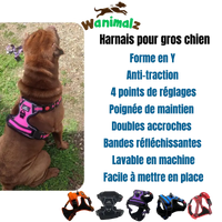 Les harnais pour gros chien anti-traction de forme Y avec réglages multiples disponibles en différentes couleurs.