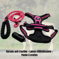 Kit de promenade anti traction pour chien de couleur rose composé d'un harnais anti traction, une laisse réfléchissante et d'une poche à crottes