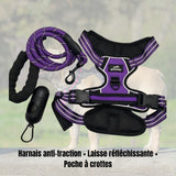 kit harnais anti traction pour chien, wanimalz en violet. disponible en taille S au XL