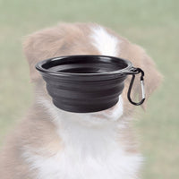 Bol pliable noir pour votre chien lors des balades randonnées. pratique, simple, efficace