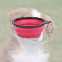 Bol pliable rose pour votre chien lors des balades randonnées. pratique, simple, efficace