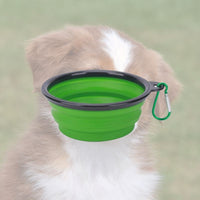Bol pliable vert pour votre chien lors des balades randonnées. pratique, simple, efficace