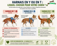 Harnais en Y ou en T : quel est le meilleur harnais pour chien ?