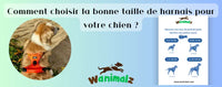 Le choix de la bonne taille du harnais de votre chien