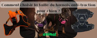 La taille du harnais pour chien est primordial pour son confort