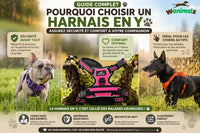 Pourquoi choisir un harnais en Y pour chien ?