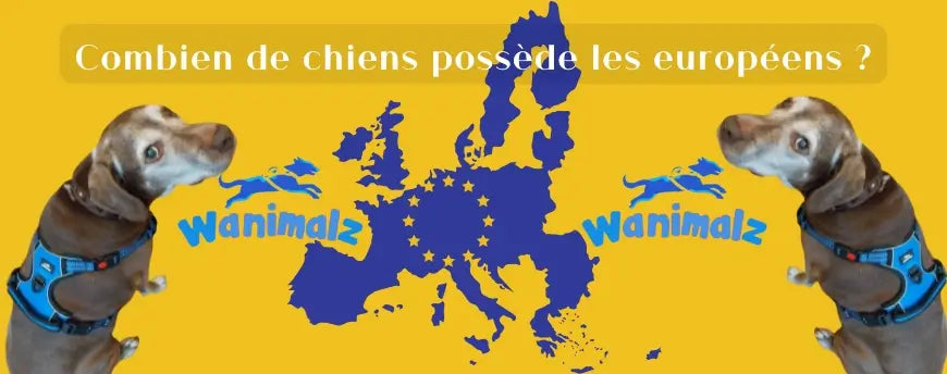 Combien y a-t-il de chiens en Europe en 2026 ?