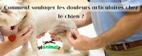 Les douleurs articulaires canines a soulager