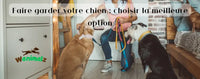Faire garder votre chien: pet-sitting, pension canine...