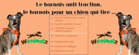 Le harnais anti traction; le harnais pour un chien qui tire, pensez harnais en Y