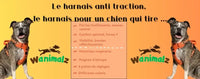Harnais anti traction pour chien qui tire
