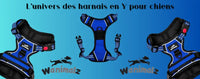 Harnais en Y pour  chiens