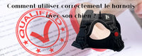 Utilisation de son harnais correctement