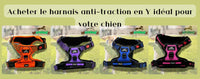 Le harnais pour votre chien se trouve chez Wanimalz