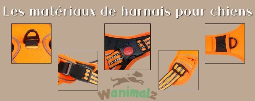 Les matériaux de harnais pour chiens