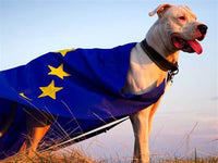 Combien de chiens possède les européens ?