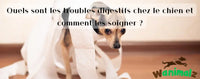 Quels sont les troubles digestifs chez le chien et comment les soigner ?