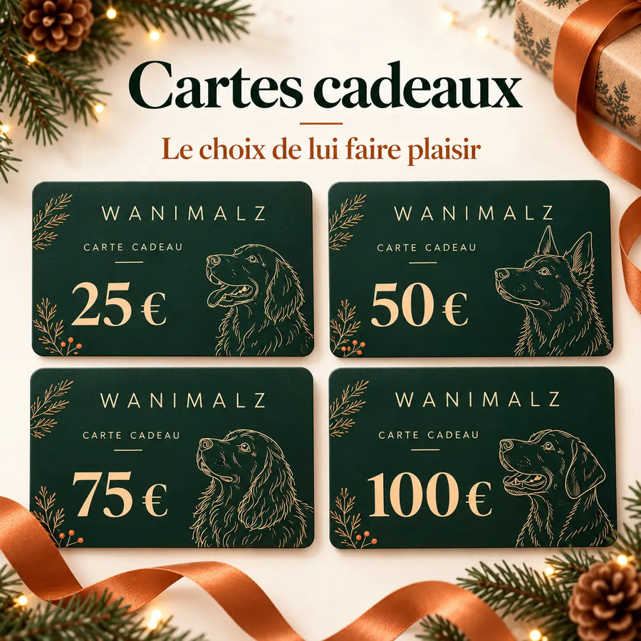 Cartes cadeaux Wanimalz disponibles en montants de 25, 50, 75 et 100 euros