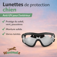 Lunettes pour petits et grands chiens