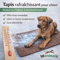 Tapis rafraichissants chien
