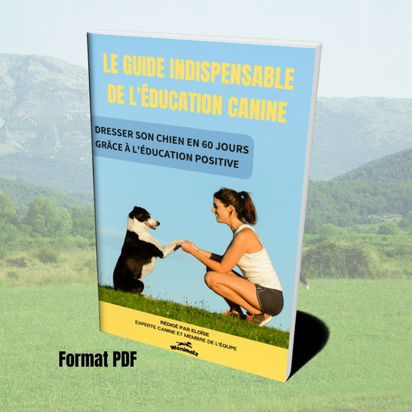 Le guide Wanimalz de l'éducation canine [Format PDF]