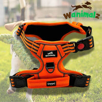 Harnais pour chien avec plaque NFC, disponible en orange et en taille S,M, L, XL