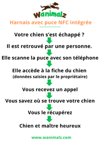 Harnais chien anti traction technologie NFC