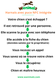 Harnais chien anti traction technologie NFC