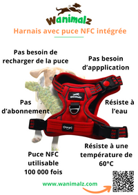 Harnais chien anti traction technologie NFC