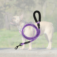 Laisse réfléchissante pour chien de couleur violette