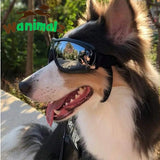 Lunette de soleil pour votre chien le berger australien 