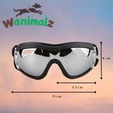 Lunettes pour les chiens à la montagne et la réverbération du soleil sur la neige