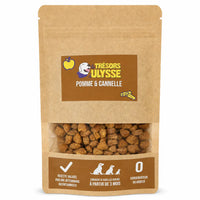 Biscuits pour chien Pomme et Cannelle Les Trésors d’Ulysse 100 g – face