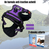 Harnais anti traction pour chien qui tire, de couleur violette, de bonne qualité, et confortable