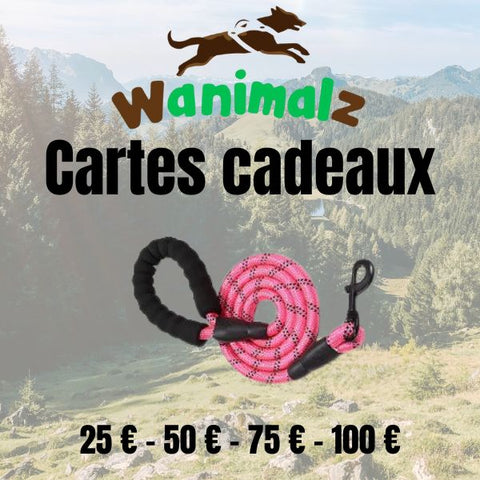 Carte cadeau pour votre chien valable pour une laisse