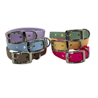 ensemble colliers chien TPU multicolores fabrication française Wanimalz
