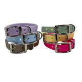 ensemble colliers chien TPU multicolores fabrication française Wanimalz
