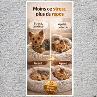 Panier chien anti-stress avant après montrant un chien anxieux puis apaisé et endormi