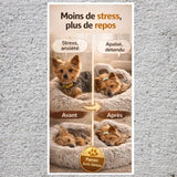 Panier chien anti-stress avant après montrant un chien anxieux puis apaisé et endormi