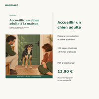 Couverture de l’ebook Wanimalz Accueillir un chien adulte à la maison, guide PDF de 100 pages proposé à 12,90 euros