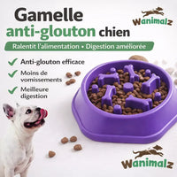 gamelle anti glouton pour chien violette Wanimalz ralentit la prise alimentaire réduit les vomissements et améliore la digestion