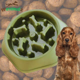 Gamelle anti glouton pour votre chien