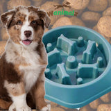 Gamelles anti glouton pour chien de couleur bleu.