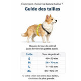 Guide des tailles harnais pour chien avec mesure du tour de poitrail pour choisir la bonne taille