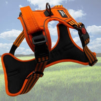 Harnais anti-traction chien de couleur orange disponible en toutes tailles, confort, ergonomique, réfléchissant, lavable