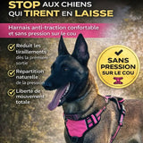 Harnais anti-traction pour chien sans pression sur le cou avec liberté de mouvement et confort