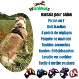 Les harnais anti traction pour chien sont beaucoup plus confortable et idéal pour sa santé.